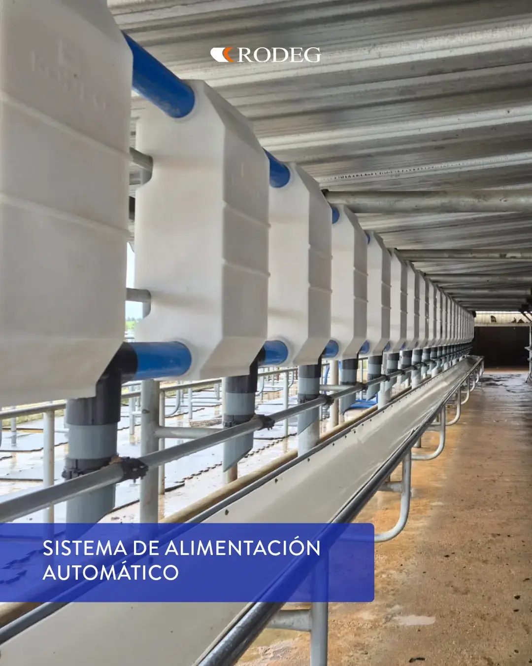 Sala de ordeñe Rodeg en Chamizo, Florida (Uruguay)