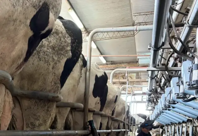 Instalación Rodeg en un tambo
